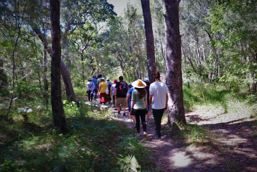 The bush track at Yarrawarra is an ancient track used by Gumbaynggirr people for generations