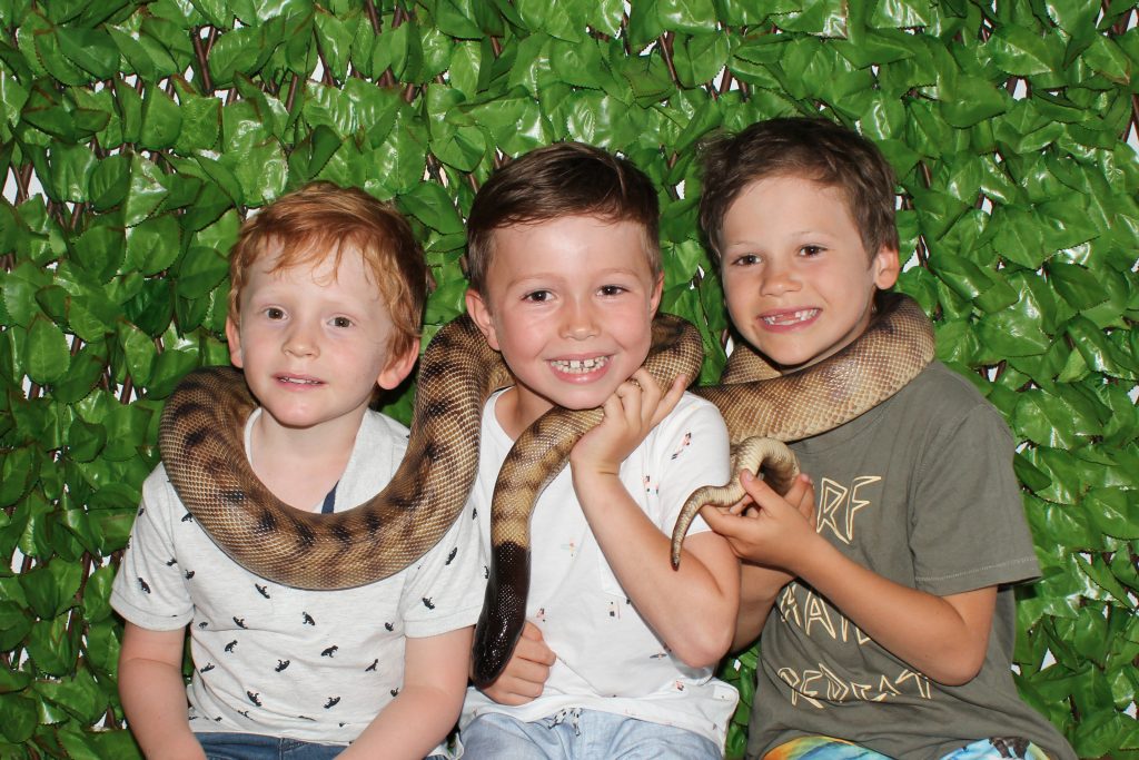 Family fun with snakes and reptiles