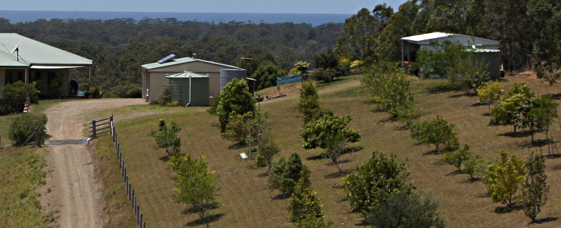 SONY DSC Landscape image