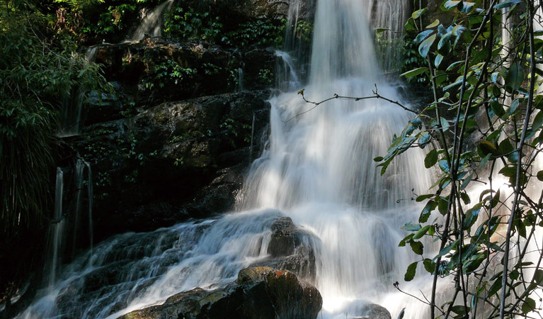 Bangalore Falls, Bindarri National Park