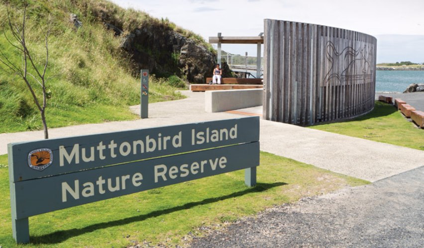 Muttonbird Island Nature Reserve