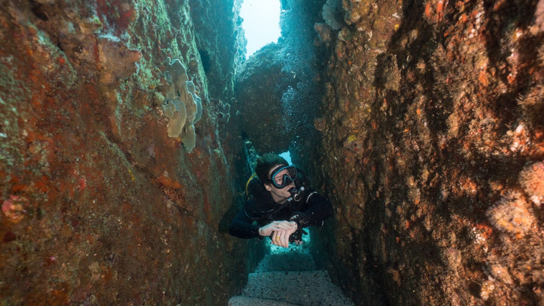 Archie's Cave Is A Great Spot To Dive At South Solitary Island