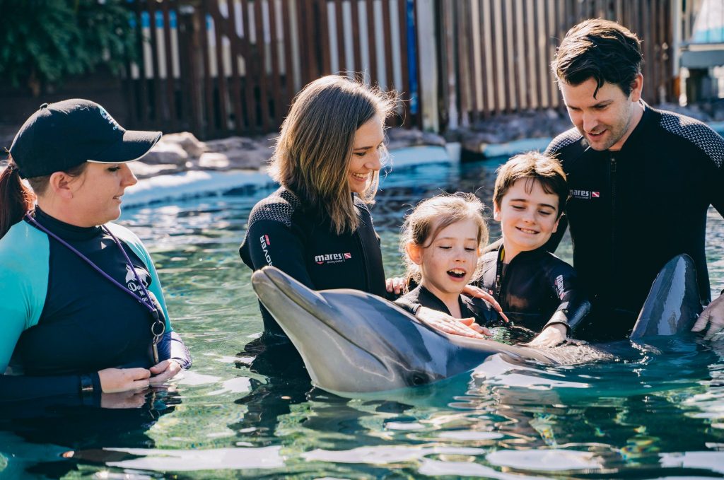 Mother and father with young  boy and girl in the water with a dolphin and Marine Team member.