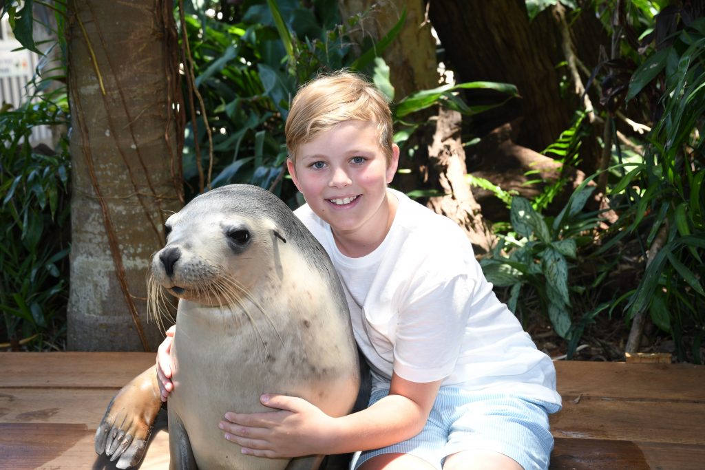 Young boy hugging Australian Sea Lion at Dolphin Marine Conservation Park