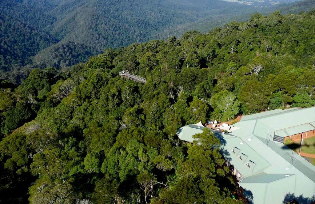 With breathtaking views, Dorrigo Rainforest Centre is not to be missed on your visit to the park.