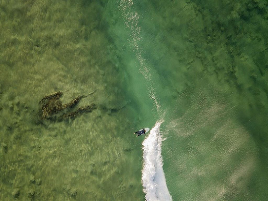 Aerial view of surfer in the water close to Tuckers Rocks Cottage. Photo: John Spencer/DPIE