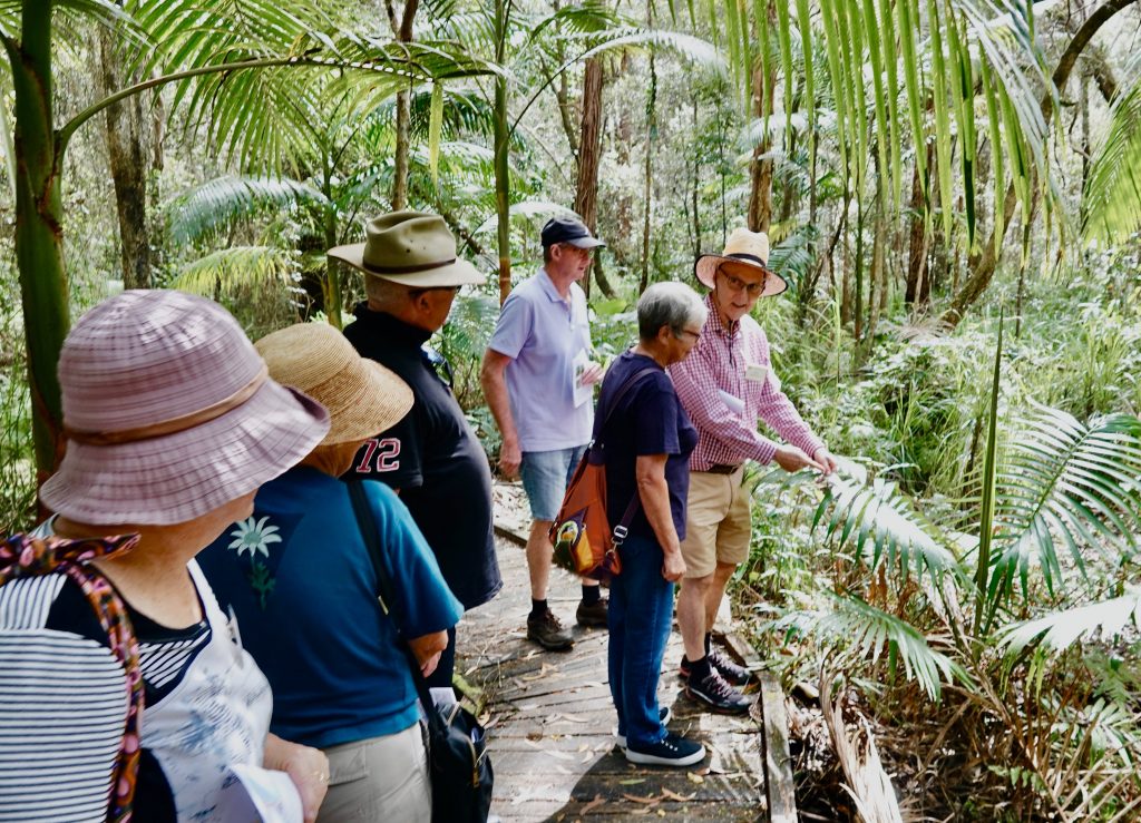 Garden guide explaining a palm on a guided walk
