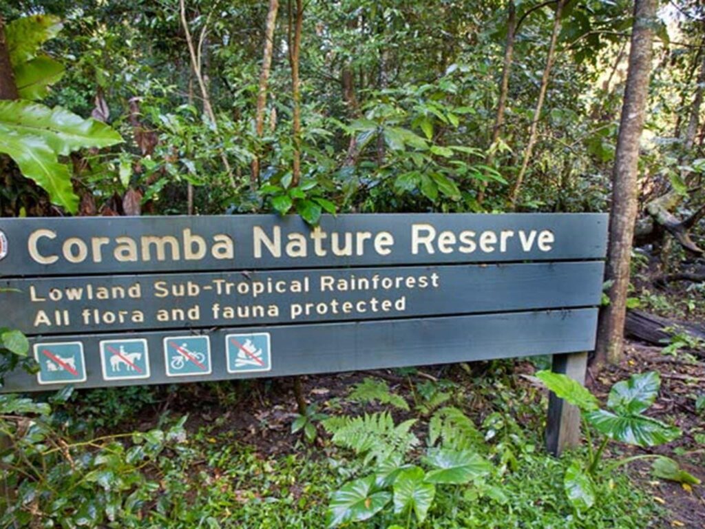 Coramba Nature Reserve. Photo: Robert Cleary © DPIE