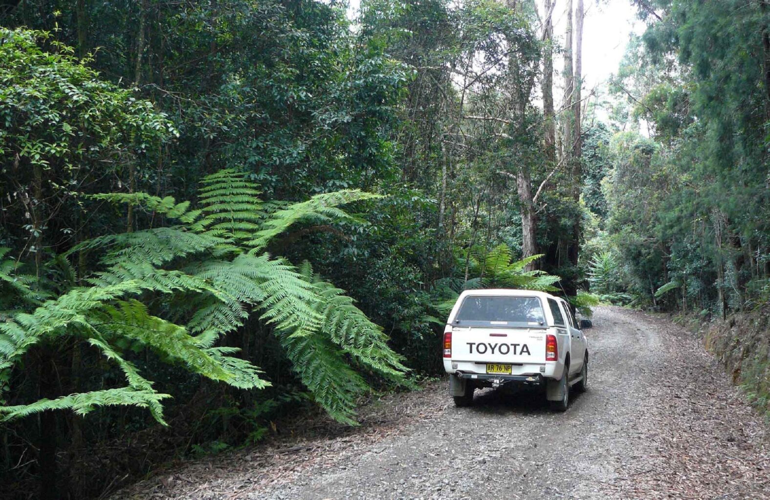 Range Road, Bindarri National Park