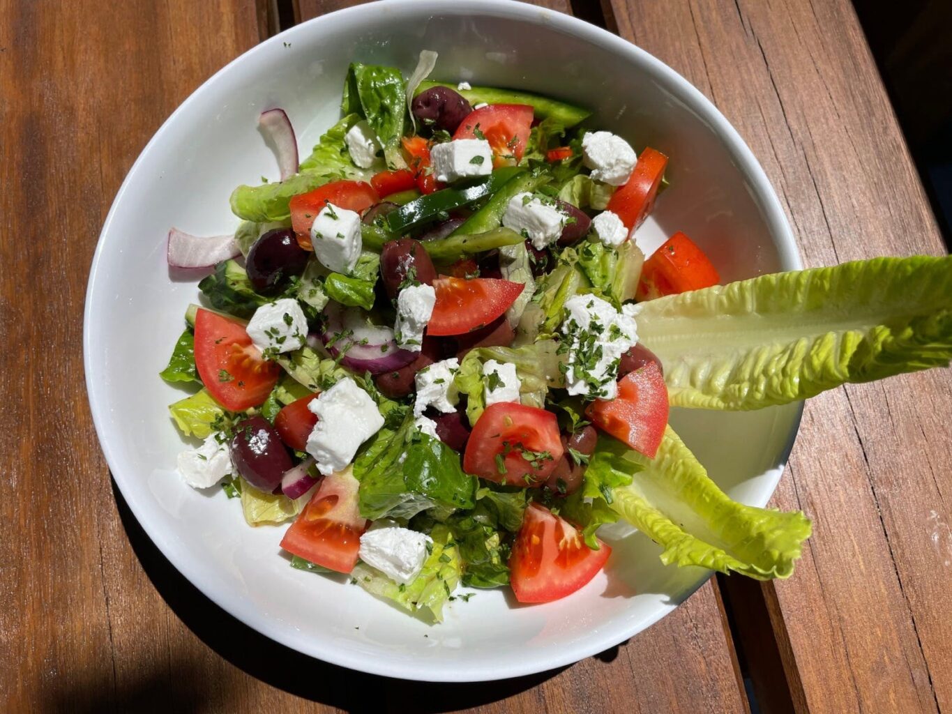 Greek Salad plate with olives, feta, tomato, capsicum, cucumber, red onion and lettuce on a plate