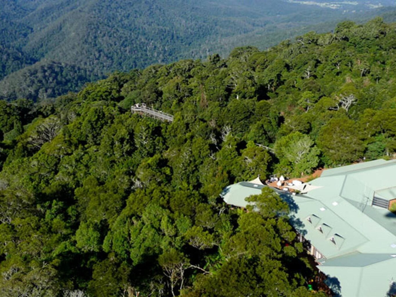Dorrigo Rainforest Centre, Dorrigo National Park. Photo: NSW Government
