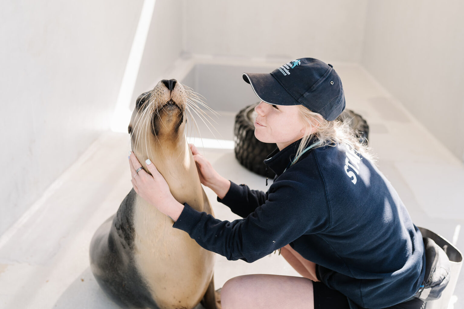 Ellie Is The Oldest Australian Sea Lion In Human Care In The World