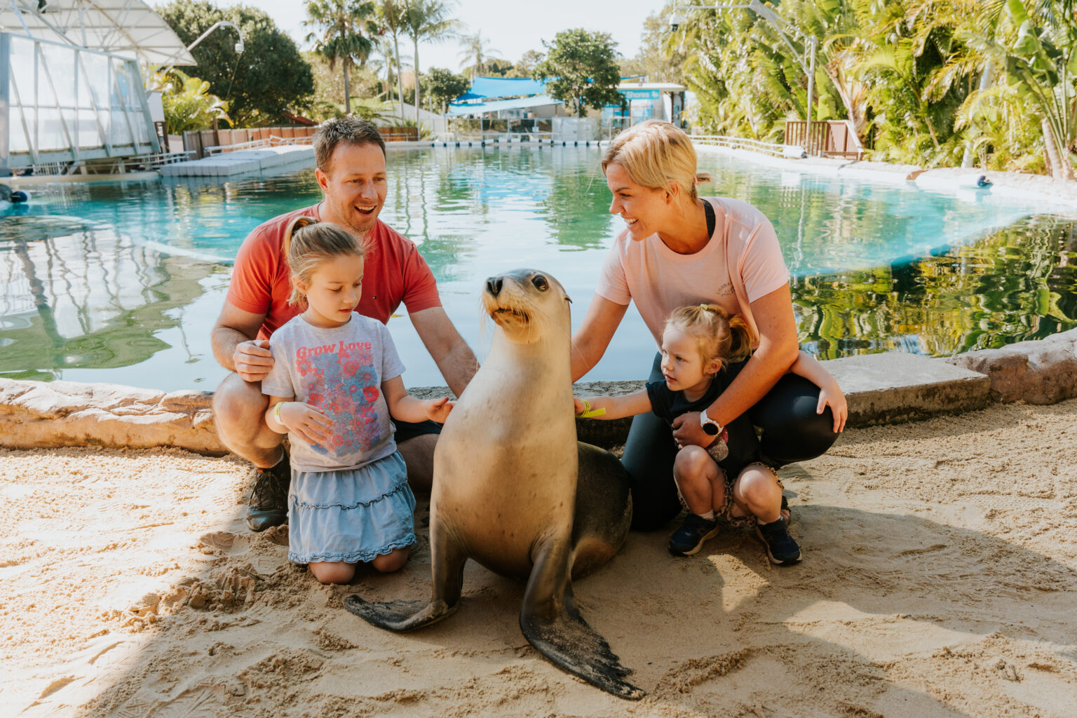 Meet Ellie The Oldest Australian Sea Lion In Human Care At The Dolphine Marine Conservation Park