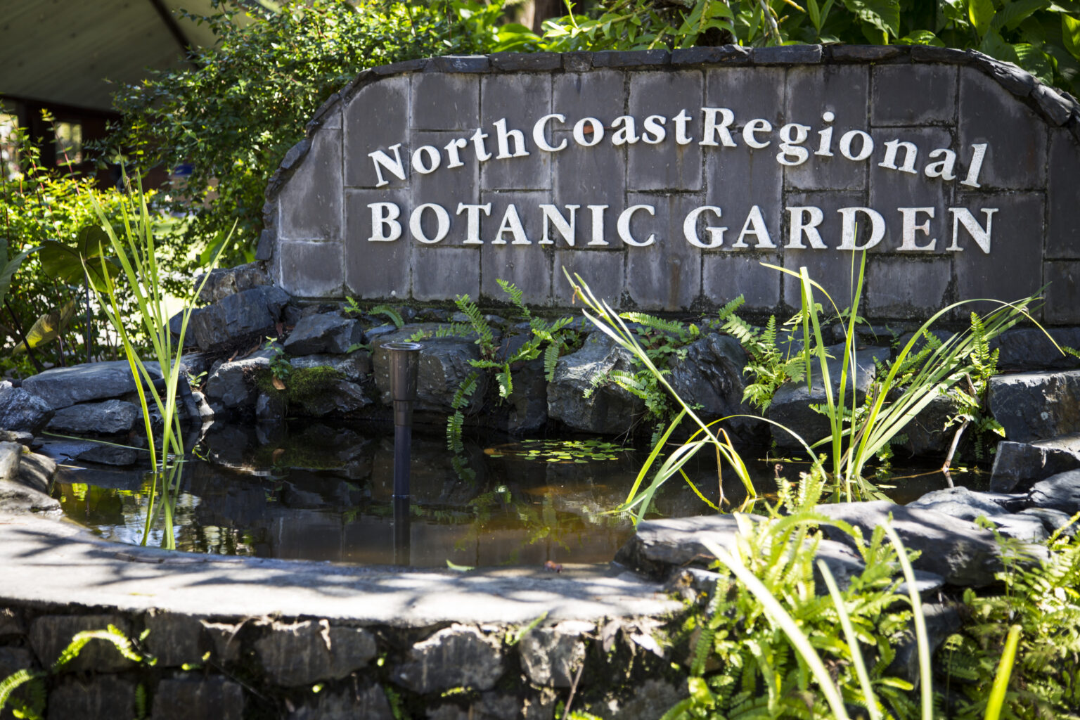 Entry To The Botanic Gardens Is Free