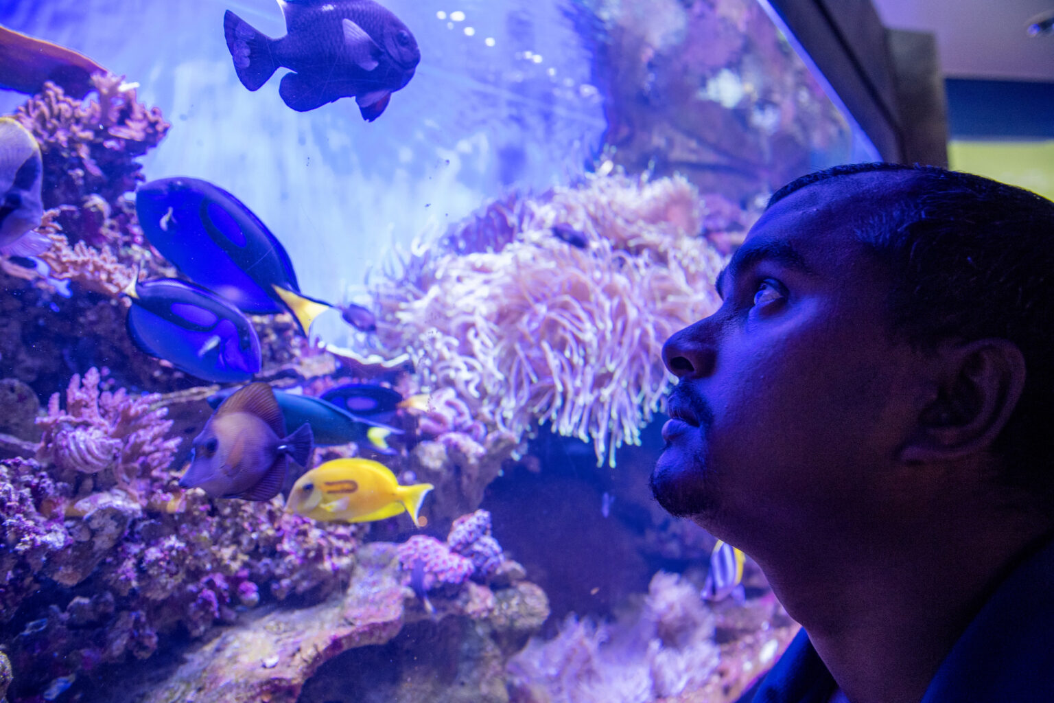 Dive Indoors And Explore The Marine Life Of The Coffs Coast!