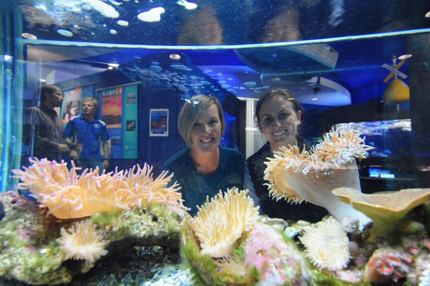 Join A Guided Tour And Learn What Makes The Coffs Coast So Special