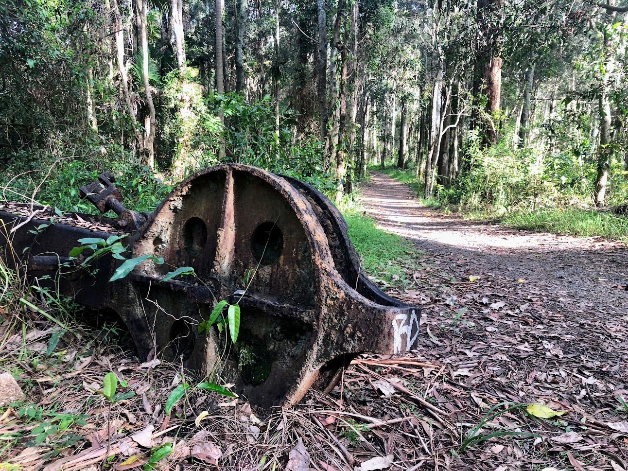 Rusty Relic On Coffs Creek Walk