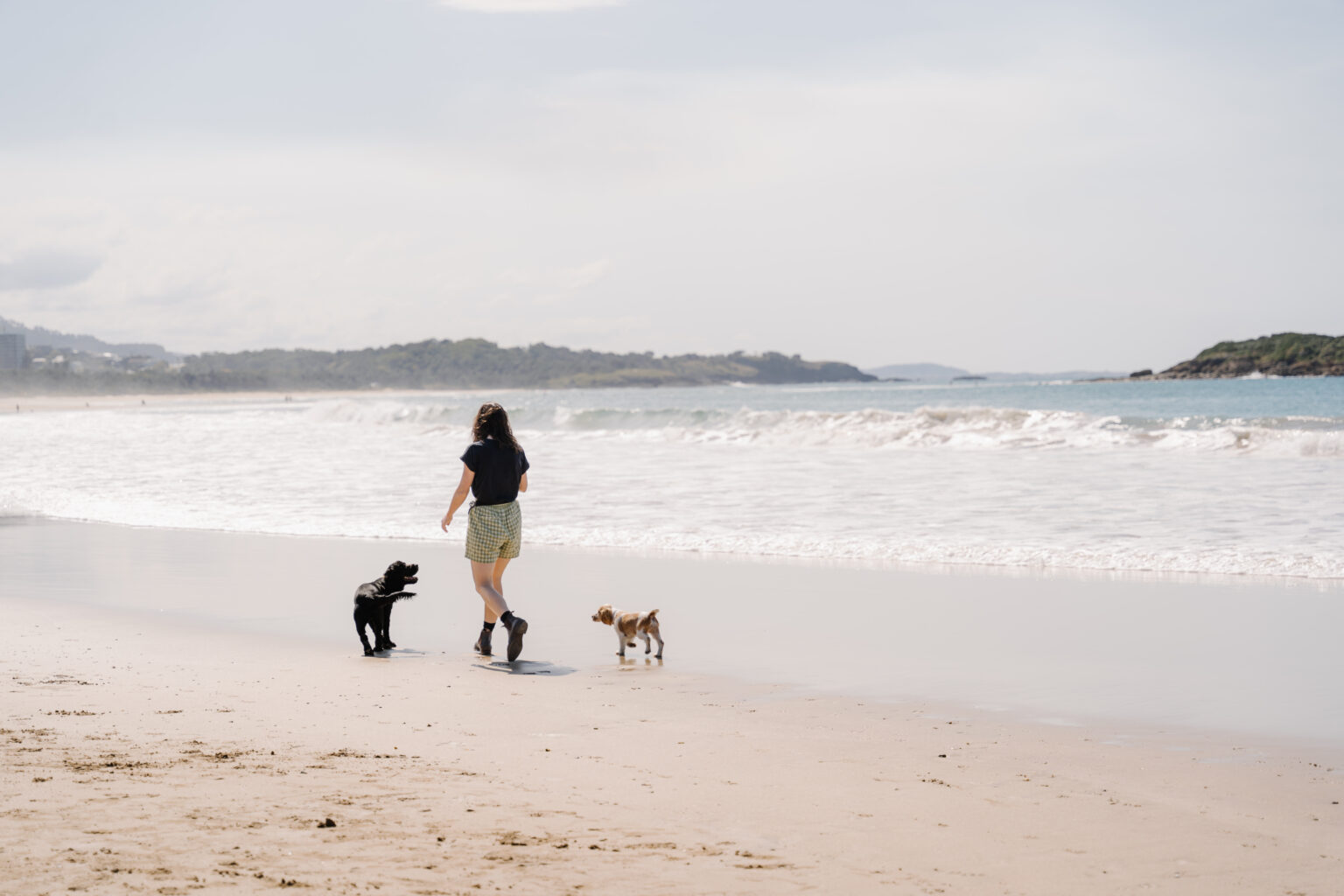 The Coffs Coast Is The Ultimate Destination For a Pet Friendly Holiday
