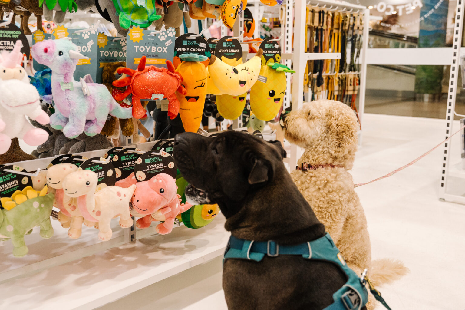 Australian-made Toys At Maggies Pet Co.