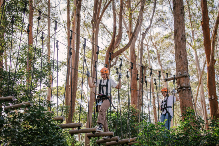 Treetops Adventure Park At Sealy Lookout