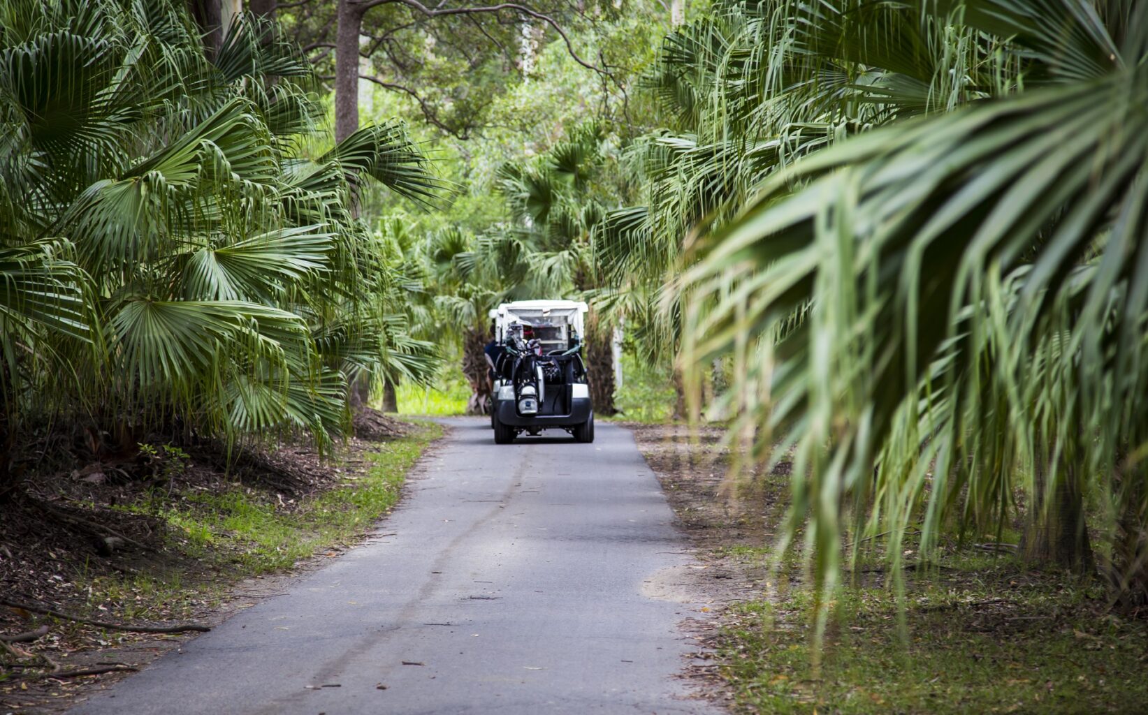 Drive Through The Rainforest At Bonville Golf Resort