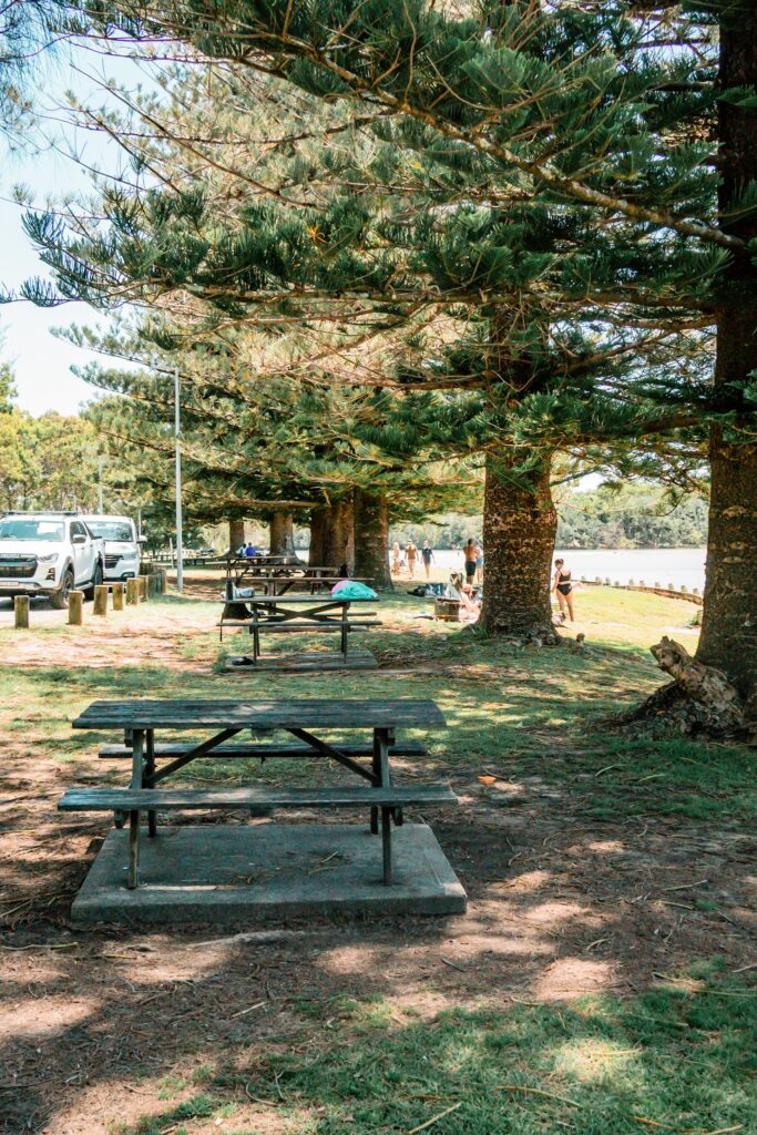 Moonee Beach Reserve Offers Picnic Tables & Shelters, Barbecues And Playgrounds