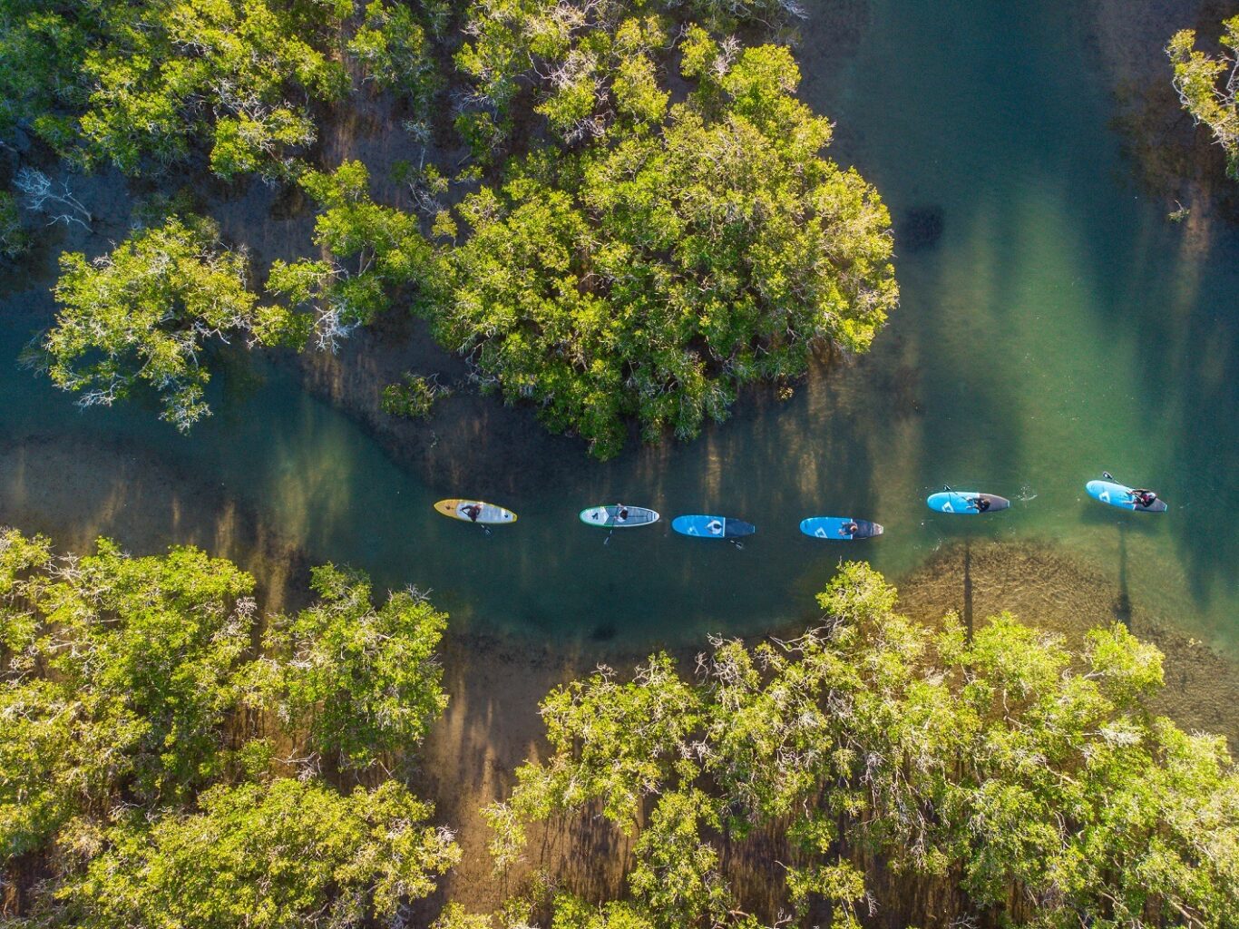 Explore Moonee Creek On A Wajaana Yaam Gumbaynggirr Adventure Tour